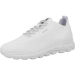 Reduzierte Weiße Geox Spherica Low Sneaker mit Schnürsenkel aus Leder für Damen Größe 37 mit Absatzhöhe bis 3cm 