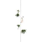 Blumenregale Breite 100-150cm günstig online kaufen