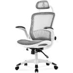 SOFTWEARY Chefsessel »Schreibtischstuhl, Bürostuhl, ergonomischer Chefsessel mit verstellbarer Kopfstütze und Armlehne, Mesh Netz Stuhl