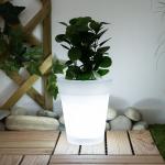 Pflanzkübel & Blumentöpfe mit Durchmesser 19 cm aus Kunststoff ab 1,89 €  günstig online kaufen
