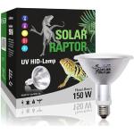 SOLAR RAPTOR HID UV-Strahler 150 Watt Flood, Metalldampflampe, Wärme & UV-Lampe für Terrarien