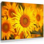 Leinwandbilder mit Sonnenblumenmotiv aus Acrylglas 60x90 1-teilig 