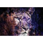 Bunte Acrylglasbilder mit Löwen-Motiv 