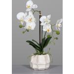 Beige Künstliche Orchideen aus Kunststoff 