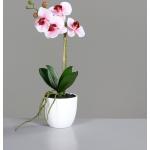 Rosa Künstliche Orchideen aus Kunststoff 