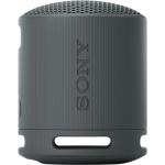 Sony SRS-XB100 Black