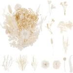 SOSPIRO Echte getrocknete Blumenblätter, natürliche Craspedia-getrocknete Blumen mit frischen Goldkugeln für DIY-Kerzenharzschmuck, Nagelanhänger, Kunsthandwerk, Kunst, Blumendekorationen