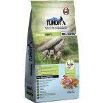 Tundra Hundefutter mit Pute 
