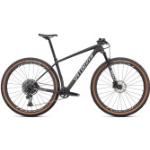 Specialized Epic Expert - 29" Carbon MTB Fully 2022 | satin carbon-smoke gravity fade-white XL