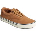 Sperry Top-Sider STS19852 Sneaker tan wp