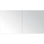 Anthrazitfarbene Spiegelschränke Matte doppelseitig Breite 100-150cm, Höhe 100-150cm, Tiefe 0-50cm 