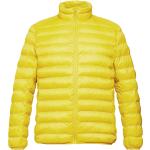 Gelbe Gesteppte Esprit Stehkragen Winterjacken für Herren Größe L für den für den Winter 