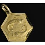 Goldene Juwelier Harnisch Runde Fische-Anhänger mit Tiermotiv aus Gold 9 Karat 