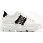 Stokton, Glitzer Detail Weißer Sneaker White, Damen, Größe: 41 EU