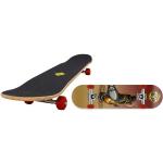 "Streetsurfing Skateboard 31 Street N Roses 500460 "
