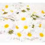 Weiße Blumenköpfe 50-teilig 