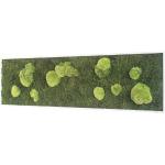 Grüne Nachhaltige Moosbilder aus Massivholz 