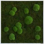 Grüne Nachhaltige Moosbilder aus Massivholz 80x80 