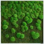 Grüne Nachhaltige Moosbilder aus Massivholz 80x80 