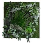 Grüne Tropische Nachhaltige Moosbilder aus Massivholz 3D 80x80 