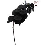 Schwarze Künstliche Orchideen 3-teilig 