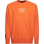 Orange Superdry Herrensweatshirts Größe XS 