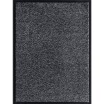 Systafex Schmutzfangmatte Fußmatte Bodenmatte Türmatte Flurteppich Schmutzmatte Tür Matte Teppich Anthrazit (60 x 80 cm)