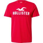 Feuerrote Hollister T-Shirts aus Jersey für Herren Größe S 