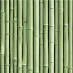 Grüne Roommates Selbstklebende Tapeten mit Bambus-Motiv 