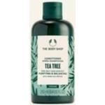 Reinigende The Body Shop Tea Tree Vegane Bio Conditioner & Spülungen 250 ml mit Teebaumöl ohne Tierversuche 