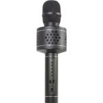 Technaxx Pro BT-X35 (Karaoke), Mikrofon