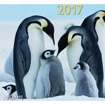 Weiße teNeues Tischkalender mit Pinguinmotiv 