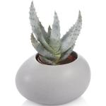 Tescoma Blumentopf Pflanztopf aus Keramik Grau Fancy Home Stones Round Übertopf - grau Keramik 8595028405941