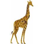 Wandtattoos Tiere mit Giraffen-Motiv 