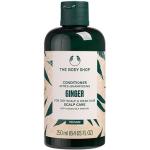 The Body Shop Ginger Conditioner & Spülungen 250 ml mit Ingwer bei trockener Kopfhaut für Damen ohne Tierversuche 