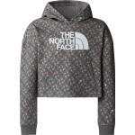 The North Face The North Face G Drew Peak Light Hoodie Print Smoked Pearl TNF Shadow Smoked Pearl Tnf Shadow L