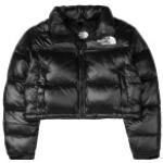 Schwarze Gesteppte The North Face Nuptse Mini Winterjacken für Damen Größe L für den für den Winter 