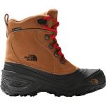 The North Face Youth Chilkat Lace II Toasted Brown/Tnf Black 33,5