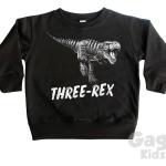 Meme / Theme Dinosaurier Kindersweatshirts mit Dinosauriermotiv 