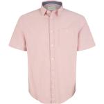 Reduzierte Pinke Kurzärmelige Tom Tailor Kentkragen Herrenjeanshemden aus Denim Größe XL für den für den Sommer 