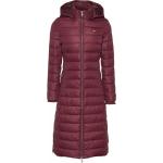 Reduzierte Rote Gesteppte Tommy Hilfiger Basic Maxi Damensteppmäntel & Damenpuffercoats mit Kapuze Größe S für den für den Herbst 