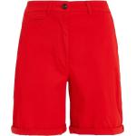 Chino-Shorts für Damen Größe L für den für den Sommer 