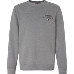 Graue Tommy Hilfiger Logo Herrensweatshirts Größe XL 