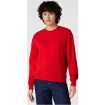 Rote Tommy Hilfiger Logo Damensweatshirts aus Baumwolle Übergrößen 