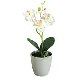Weiße Moderne Künstliche Orchideen im Topf 