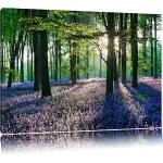 TOPSELLER Wandbilder (Lavendel im Wald 120x80cm) R