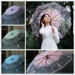 Rosa Durchsichtige Regenschirme durchsichtig aus Kunstleder für Herren 