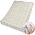 Traumschlaf 4-Jahreszeiten-Bettdecken & Ganzjahresdecken aus Textil 240x220 für den für den Sommer 