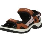 Schwarze Ecco Offroad Nachhaltige Outdoor-Sandalen mit Riemchen aus Glattleder für Damen Größe 38 mit Absatzhöhe bis 3cm für den für den Sommer 