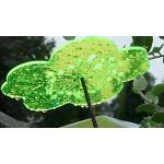 Neongrüne Gartenstecker & Beetstecker mit Blumenmotiv aus Plexiglas frostfest 